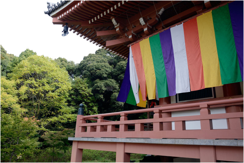 Kyoto, Chishaku-in Temple