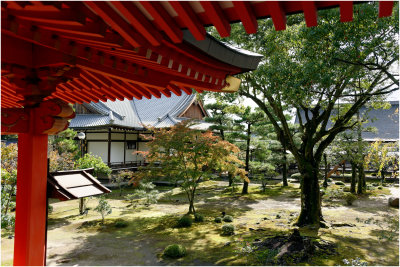 Kyoto, Daikakuji Temple