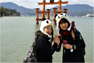 Deux Pandas scolaires