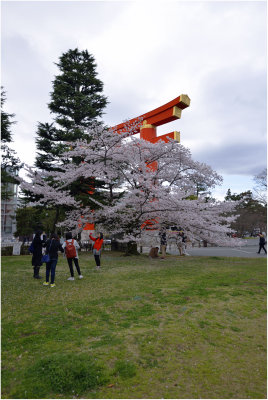 Jingu Torii Gate