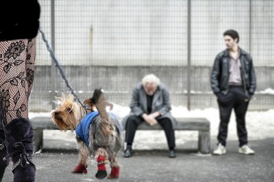 Walkthedog.jpg