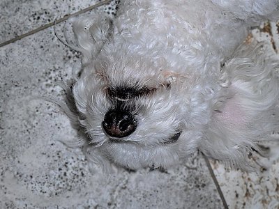 Looking good even upside down.jpg