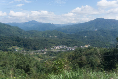 DSC07541.jpg