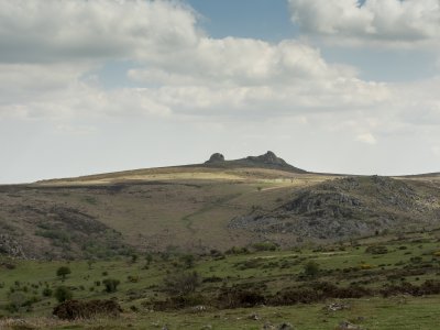 View from Hound Tor