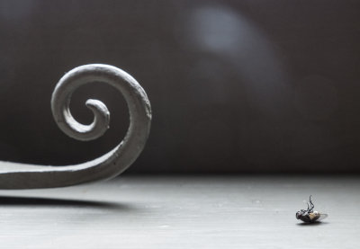 nature morte
