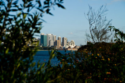 In and Around Sydney Harbor