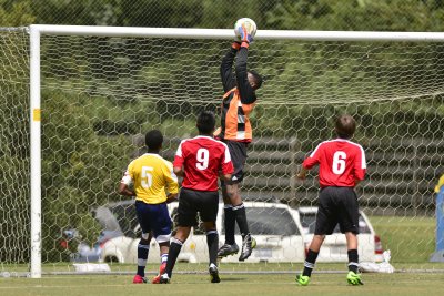 CASL Arsenal Fall 2013 U14