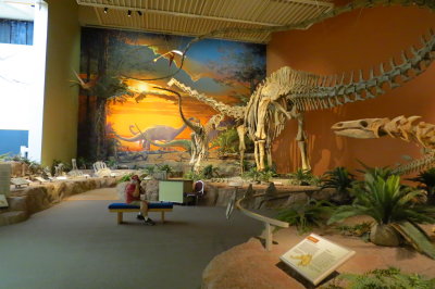 New Mexico Museum of Natural History and Science. Saurophaganax and Brachiosaurus