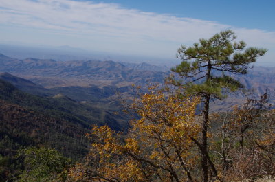 View from the Pinal mountains