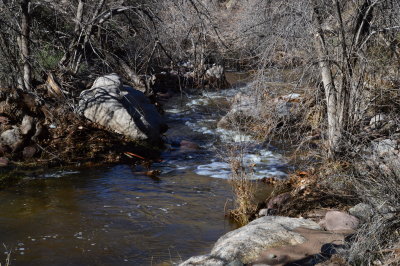 Queen Creek in winter
