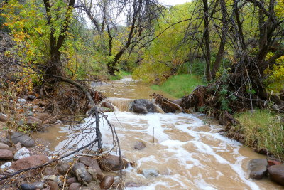 Queen Creek after the rain