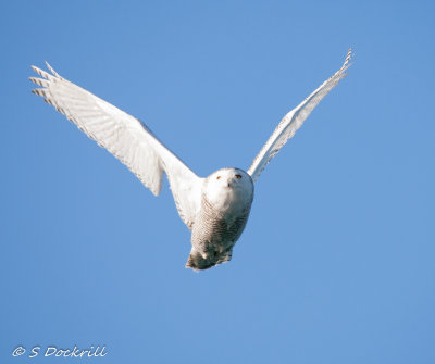 20140309-_53K8700.jpg