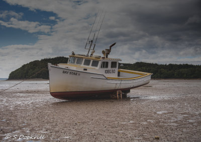20140814-_MG_2664-Edit-Edit.jpg