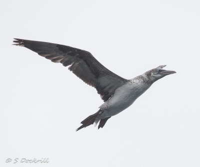 20140814-_MG_2703-Edit.jpg