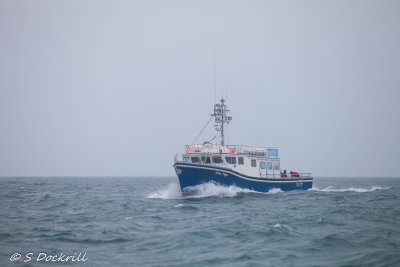 20140814-_MG_2708.jpg