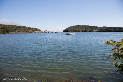 20140815-_MG_2918.jpg