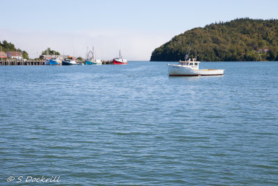 20140815-_MG_2919.jpg