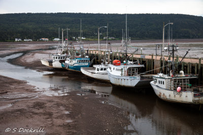 20140817-_MG_3208.jpg