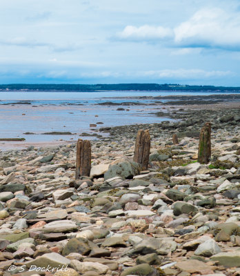 20140817-_MG_3234.jpg