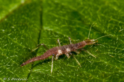 20140909-_MG_3405.jpg