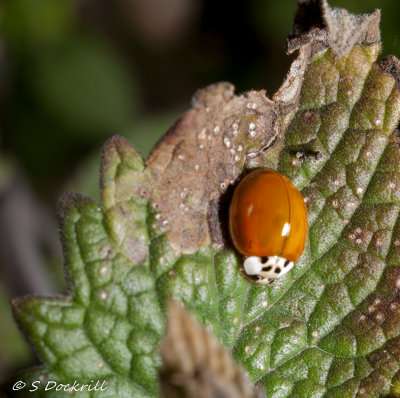 20140914-_MG_3407-Edit.jpg