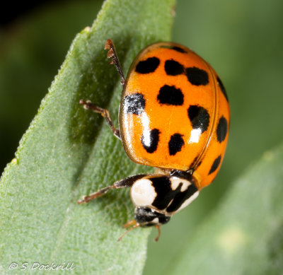 20140914-_MG_3427.jpg