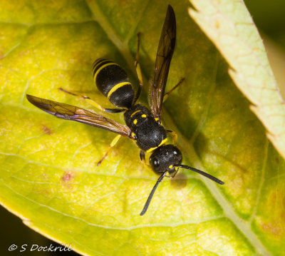 20140914-_MG_3434.jpg