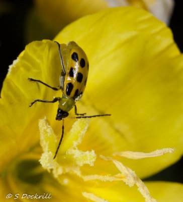 20140914-_MG_3418.jpg