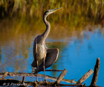 20140927-_MG_3516-Edit.jpg