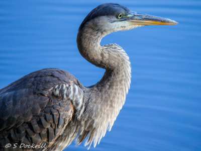 20140927-_MG_3534-Edit.jpg