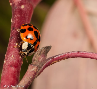 20141011-_53K3747.jpg