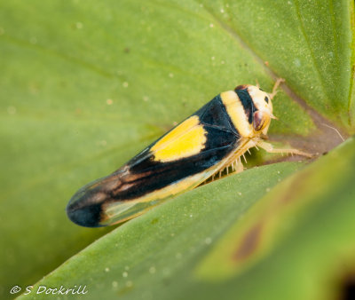 _MG_5016.jpg