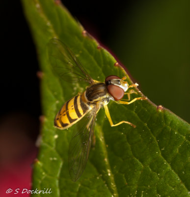 2015-06-21 20-29-00 BR8S4-Edit.jpg