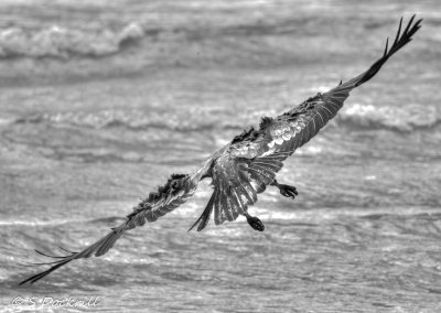 _53K5136_tonemapped.jpg