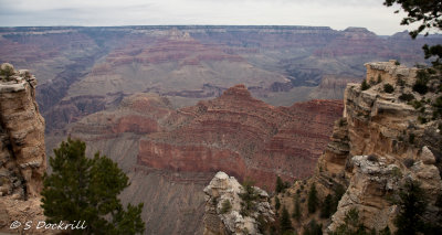 _MG_6458-Edit.jpg