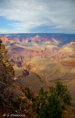 _MG_6490.jpg