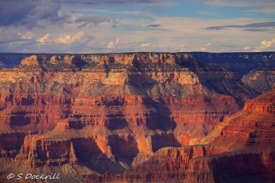 _MG_6553-Edit.jpg