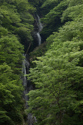 Falling down_Yuu-Daki(Waterfall)