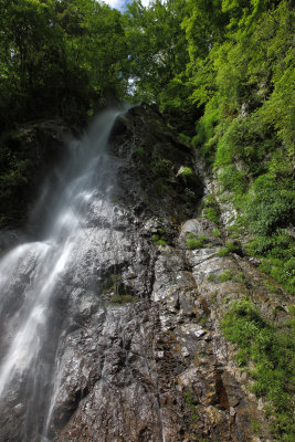 Refreshing green and waterfall
