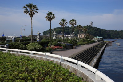 Home town Island_Enoshima