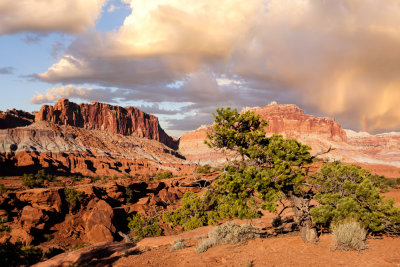 _MG_8260.jpg