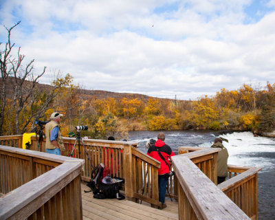 Brooks_Falls_Viewing_Platform_IMG_8962.jpg