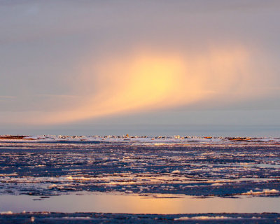 _F9A1407.jpg