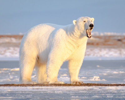 _F9A1499.jpg