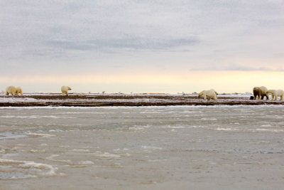 Ice Covered Lagoon_F9A1752.jpg