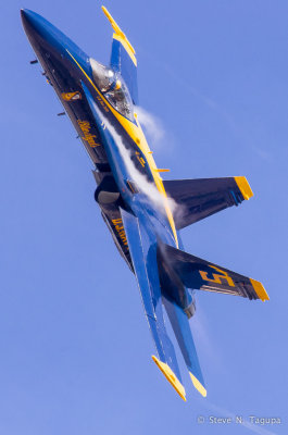 2014 Wings Over the Pacific Airshow