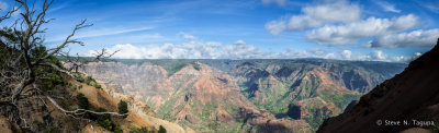 Waimea Canyon Panorama