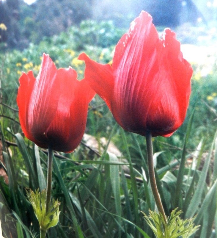DSCN0316.jpg
