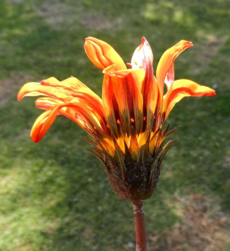 DSCN0195.jpg