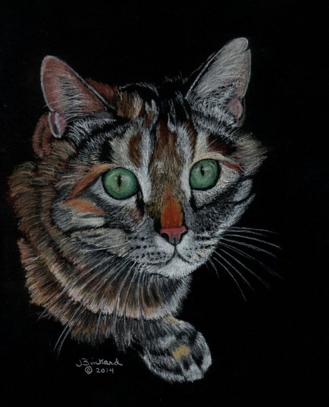 Digger - pastel, 8 x 10